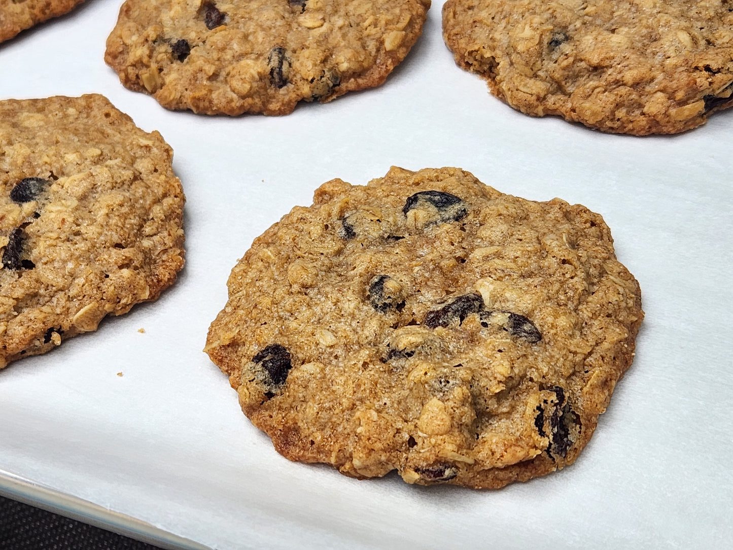 GF oatmeal raisin cookies baked on a white parchment-lined baking sheet, with several cookies visible in a close-up overhead view.