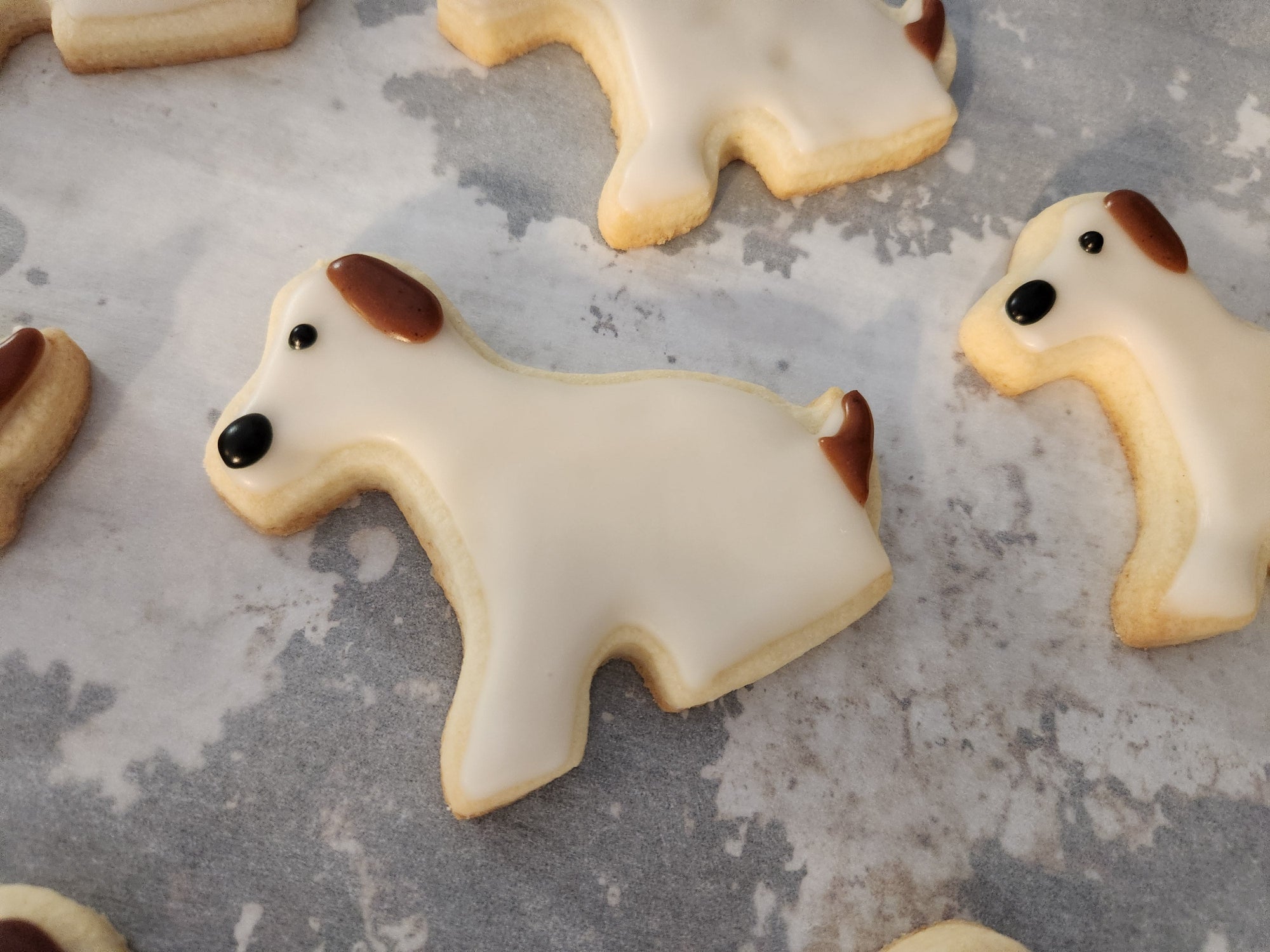 This image shows dog-shaped sugar cookies decorated with icing. The cookies have a white icing base with brown and black icing details to resemble a dog's ears, nose, and tail. They are placed on parchment paper, likely after being freshly decorated. Let me know if you need any assistance related to these cookies!